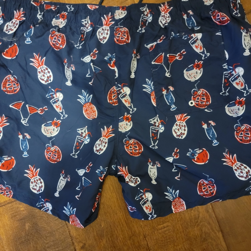 Mens Swim Trunks From Jake Austin Cool Design: Mul View 2